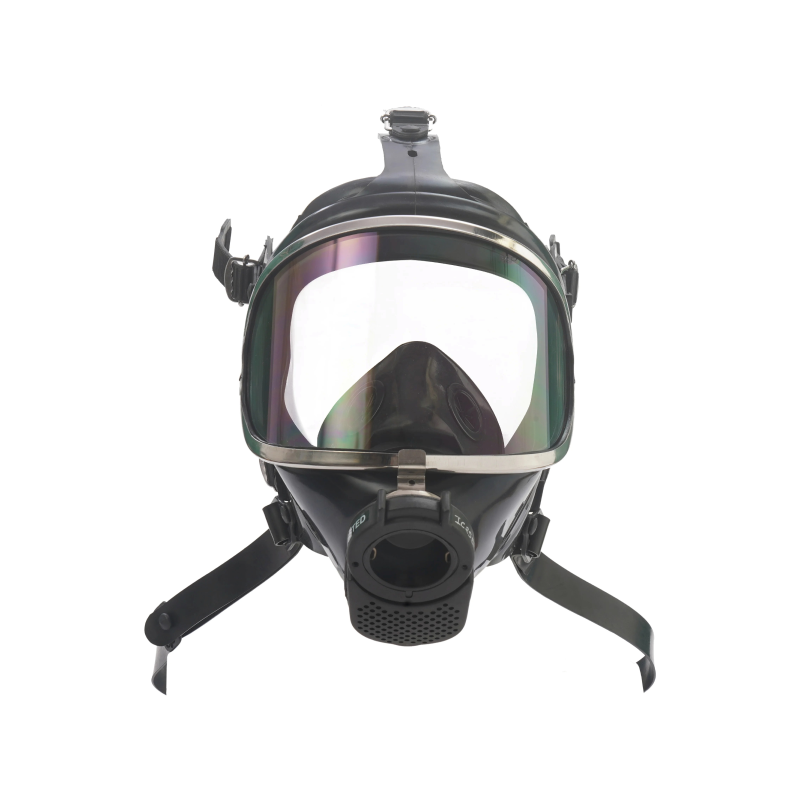 d_12000_1p_1full_1face_1plug_1in_1mask_14_1webp_11x