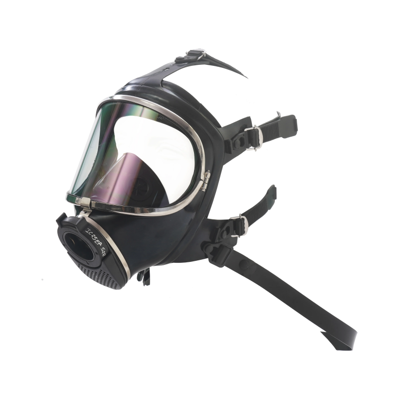 d_12000_1p_1full_1face_1plug_1in_1mask_12_1webp_11x